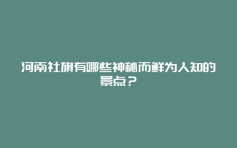 河南社旗有哪些神秘而鲜为人知的景点？