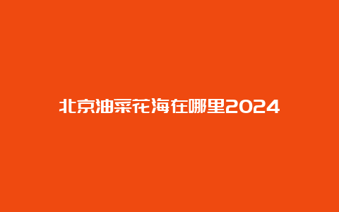 北京油菜花海在哪里2024