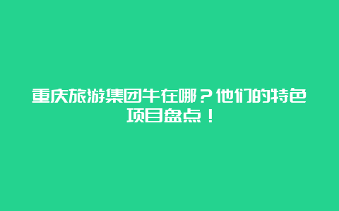 重庆旅游集团牛在哪？他们的特色项目盘点！