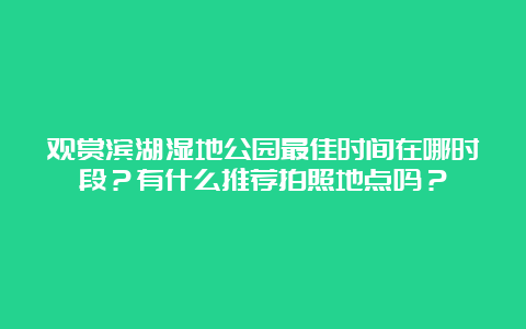 观赏滨湖湿地公园最佳时间在哪时段？有什么推荐拍照地点吗？