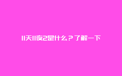 11天11夜2是什么？了解一下