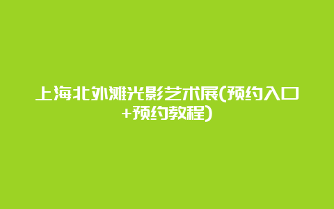 上海北外滩光影艺术展(预约入口+预约教程)