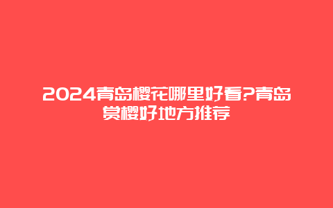 2024青岛樱花哪里好看?青岛赏樱好地方推荐