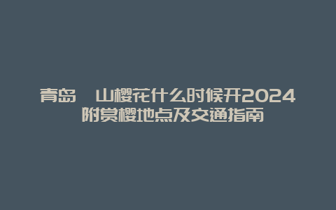 青岛崂山樱花什么时候开2024 附赏樱地点及交通指南