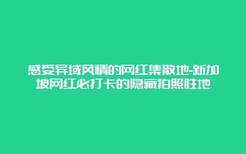 感受异域风情的网红集散地-新加坡网红必打卡的隐藏拍照胜地