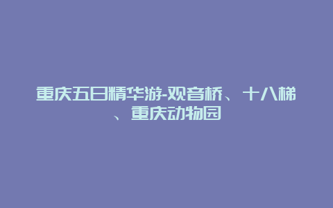 重庆五日精华游-观音桥、十八梯、重庆动物园