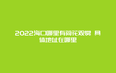 2022海口哪里有荷花观赏 具体地址在哪里