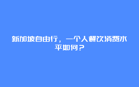 新加坡自由行，一个人餐饮消费水平如何？