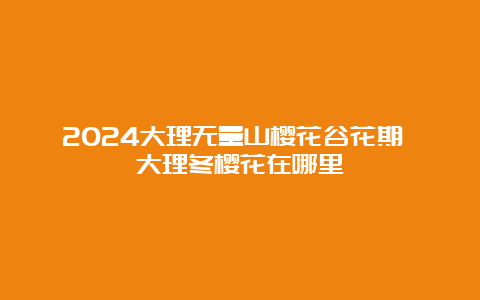 2024大理无量山樱花谷花期 大理冬樱花在哪里