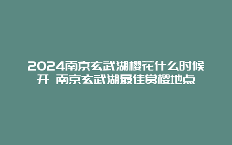 2024南京玄武湖樱花什么时候开 南京玄武湖最佳赏樱地点