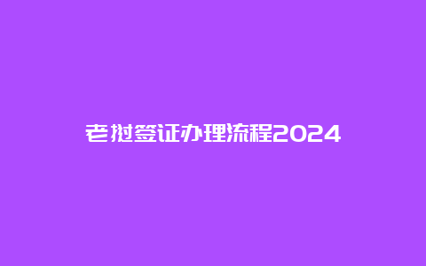 老挝签证办理流程2024