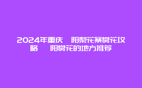 2024年重庆酉阳梨花寨赏花攻略 酉阳赏花的地方推荐