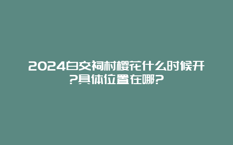 2024白交祠村樱花什么时候开?具体位置在哪?