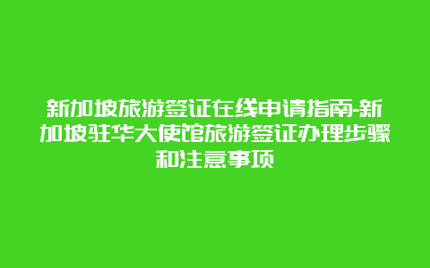 新加坡旅游签证在线申请指南-新加坡驻华大使馆旅游签证办理步骤和注意事项