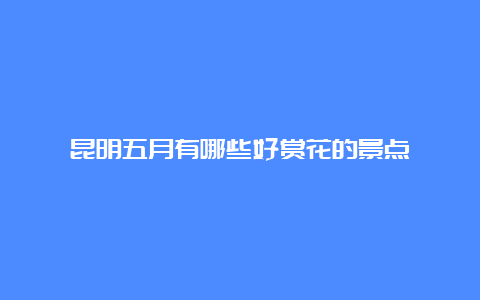 昆明五月有哪些好赏花的景点