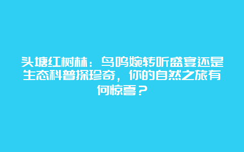 头塘红树林：鸟鸣婉转听盛宴还是生态科普探珍奇，你的自然之旅有何惊喜？