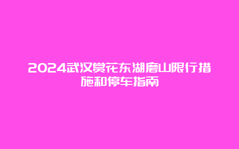 2024武汉赏花东湖磨山限行措施和停车指南