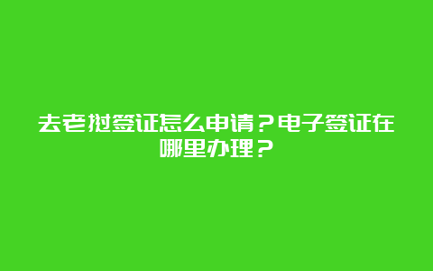 去老挝签证怎么申请？电子签证在哪里办理？