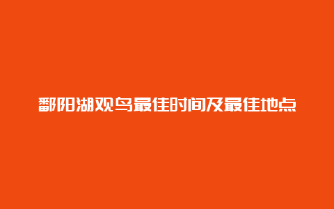 鄱阳湖观鸟最佳时间及最佳地点