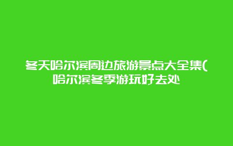 冬天哈尔滨周边旅游景点大全集(哈尔滨冬季游玩好去处