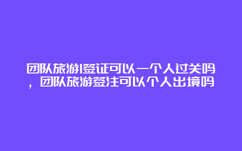 团队旅游l签证可以一个人过关吗，团队旅游签注可以个人出境吗