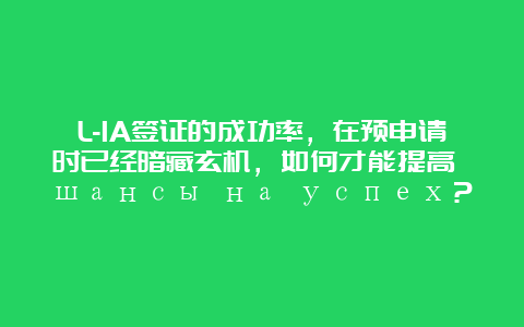 L-1A签证的成功率，在预申请时已经暗藏玄机，如何才能提高 шансы на успех？