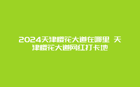 2024天津樱花大道在哪里 天津樱花大道网红打卡地