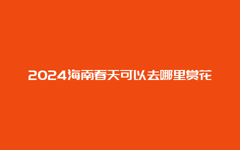 2024海南春天可以去哪里赏花