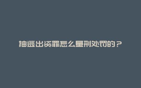 抽逃出资罪怎么量刑处罚的？