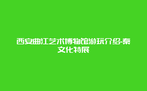 西安曲江艺术博物馆游玩介绍-秦文化特展