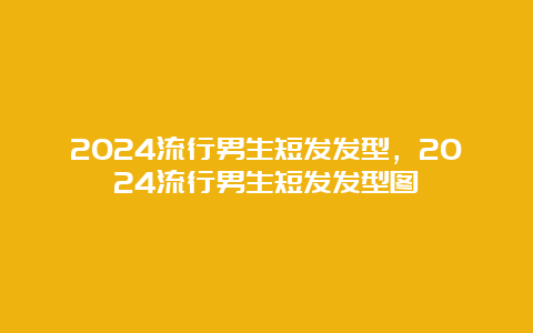 2024流行男生短发发型，2024流行男生短发发型图