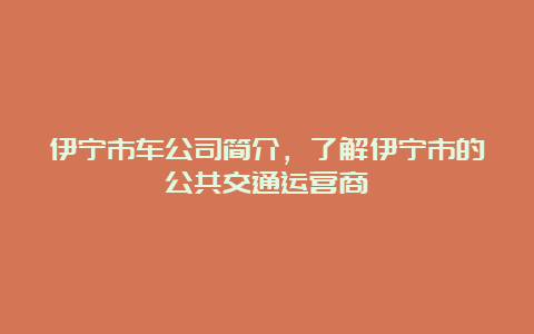 伊宁市车公司简介，了解伊宁市的公共交通运营商