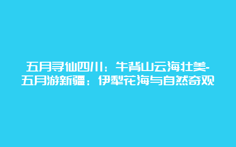 五月寻仙四川：牛背山云海壮美-五月游新疆：伊犁花海与自然奇观