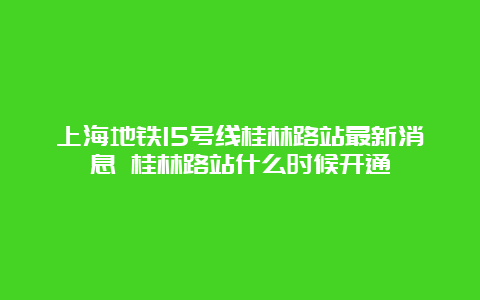 上海地铁15号线桂林路站最新消息 桂林路站什么时候开通