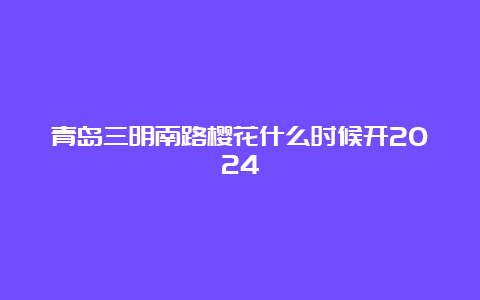 青岛三明南路樱花什么时候开2024