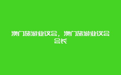 澳门旅游业议会，澳门旅游业议会会长