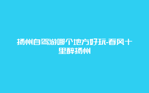 扬州自驾游哪个地方好玩-春风十里醉扬州