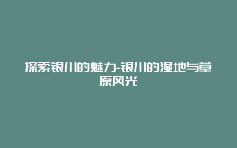 探索银川的魅力-银川的湿地与草原风光