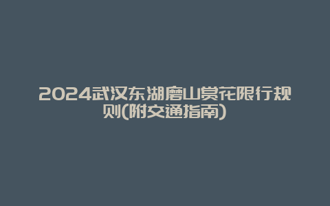 2024武汉东湖磨山赏花限行规则(附交通指南)