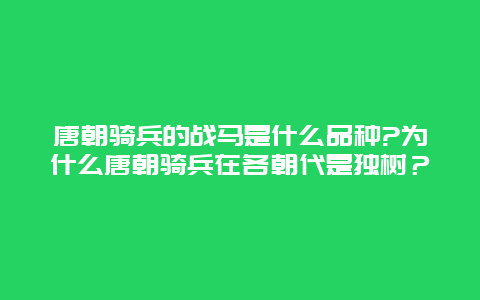 唐朝骑兵的战马是什么品种?为什么唐朝骑兵在各朝代是独树？