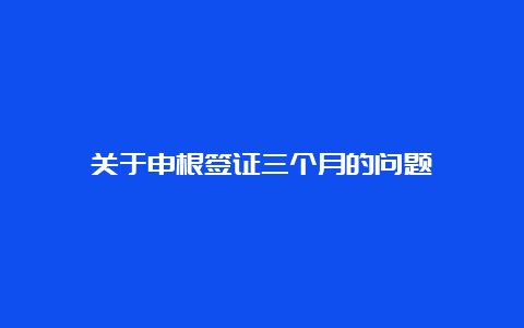 关于申根签证三个月的问题