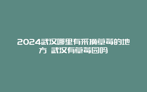 2024武汉哪里有采摘草莓的地方 武汉有草莓园吗