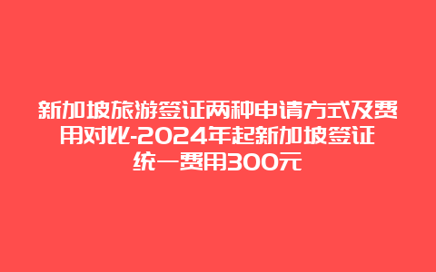 新加坡旅游签证两种申请方式及费用对比-2024年起新加坡签证统一费用300元