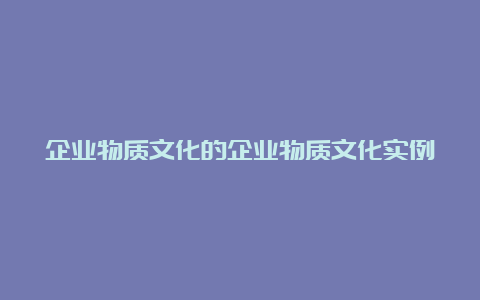 企业物质文化的企业物质文化实例