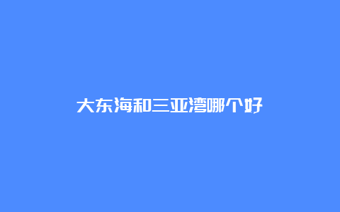 大东海和三亚湾哪个好