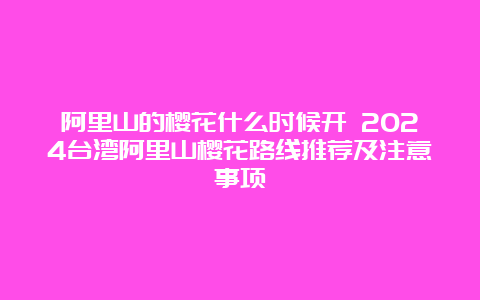 阿里山的樱花什么时候开 2024台湾阿里山樱花路线推荐及注意事项