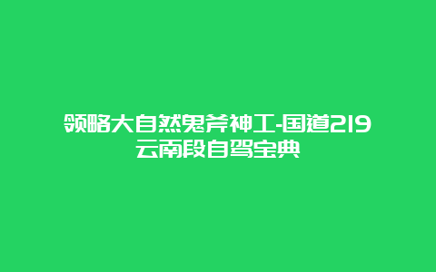 领略大自然鬼斧神工-国道219云南段自驾宝典