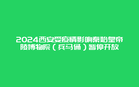 2024西安受疫情影响秦始皇帝陵博物院（兵马俑）暂停开放