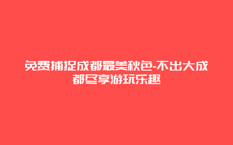 免费捕捉成都最美秋色-不出大成都尽享游玩乐趣