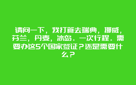 请问一下，我打算去瑞典，挪威，芬兰，丹麦，冰岛。一次行程。需要办这5个国家签证？还是需要什么？